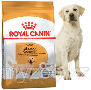 Корм для взрослых собак породы лабрадор Royal Canin LABRADOR 12 kg