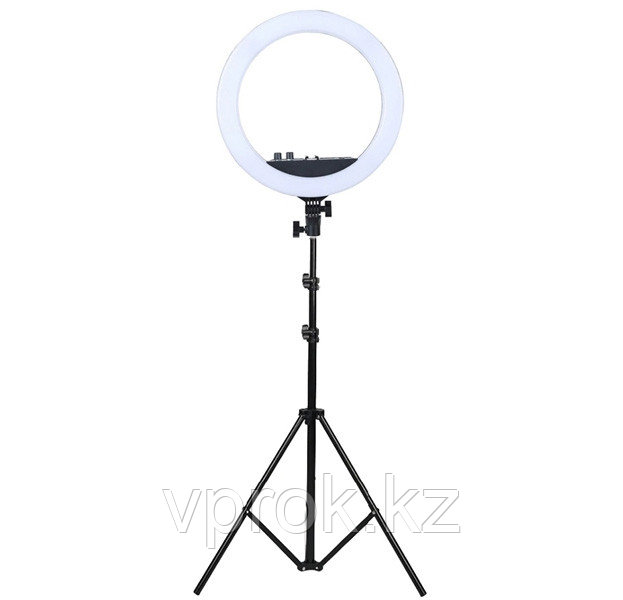 Селфи лампа, кольцевая на подставке с креплением для фотоаппата и зеркалом, 36 см - фото 2 - id-p67897745