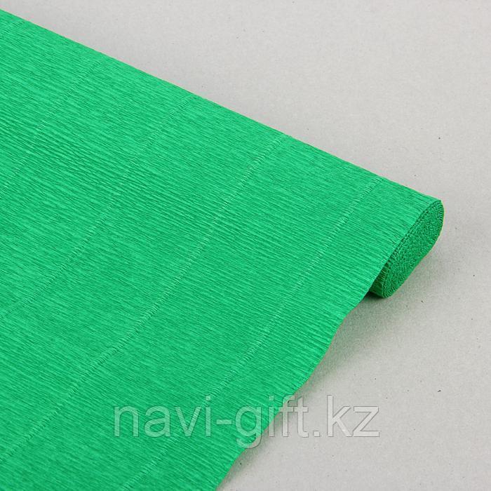 Бумага гофрированная зеленая 0,5*2,5