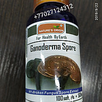 Капсулы Ганодерма - Ganoderma Spore