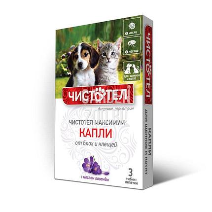 Капли Чистотел Максимум Юниор для котят и щенков, фото 2