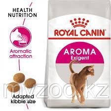 Корм для кошек, очень требовательных к запаху пищи Royal Canin EXIGENT 33 AROMATIC 10kg.