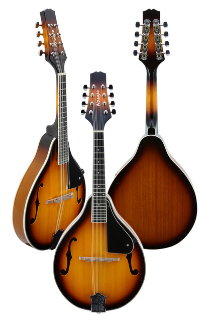 Купить мандолину в Алматы – Продажа профессиональной мандолины по всему ...