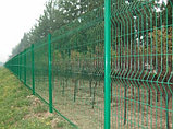 Заборы 3д, ограждения с полимерным покрытием., фото 2