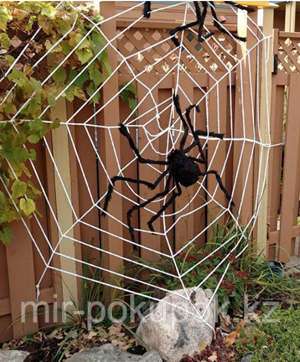 Паук черный декоративный для Хэллоуина 40 см - фото 2 - id-p68265446