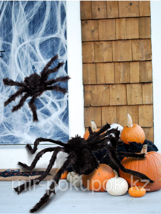 Паук черный декоративный для Хэллоуина 40 см - фото 4 - id-p68265446