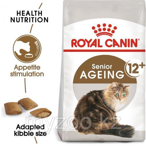 Royal Canin AGEING +12, 2 kg | Корм для пожилых кошек старше 12 лет |