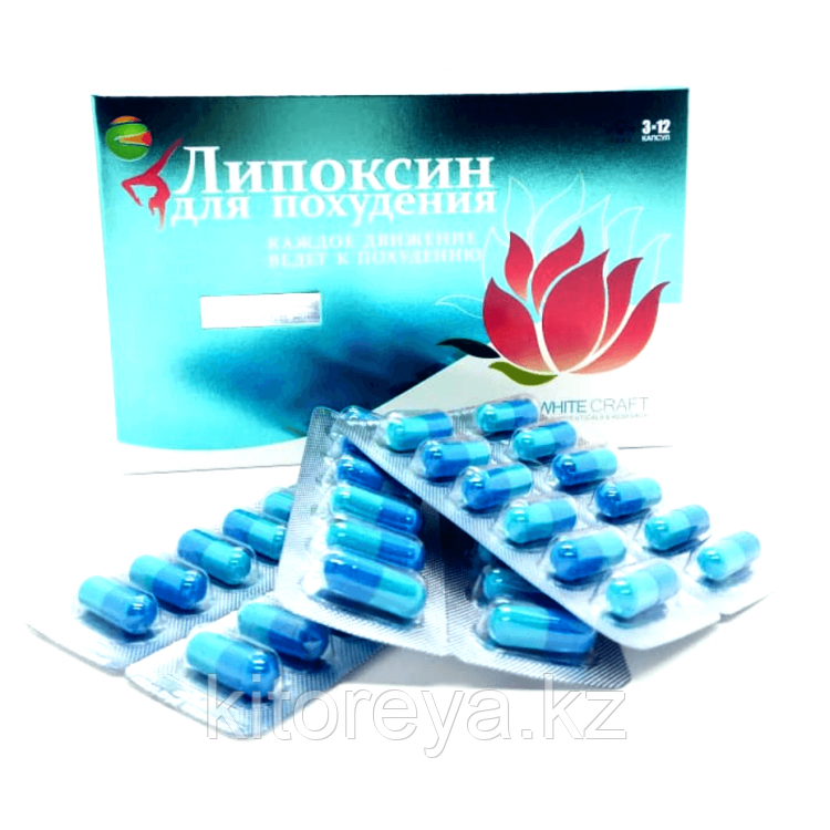 Липоксин