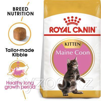 Корм для котят породы мейн кун Royal Canin MAINE COON KITTEN 4kg