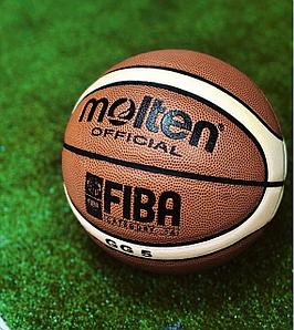 Баскетбольный мяч MOLTEN GG5