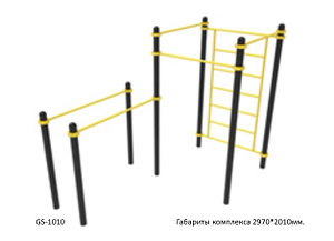 Воркаут комплекс GS-1010