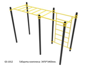 Воркаут комплекс GS-1012