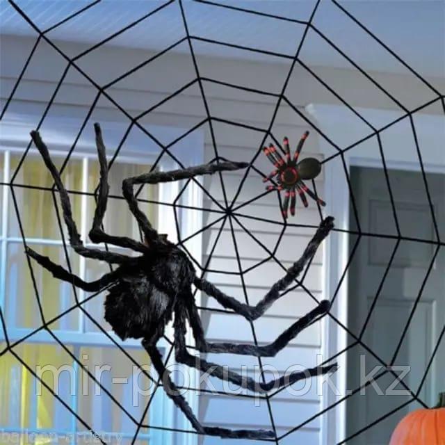 Большой мохнатый черный паук (декорации для Хэллоуина, 70 см - фото 5 - id-p67309241