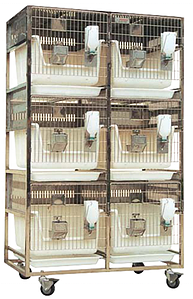 Клетки для кроликов RB53P-6