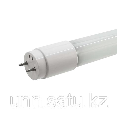 Лампа Gauss LED Elementary T8 Glass 1200mm G13 20W, фото 2