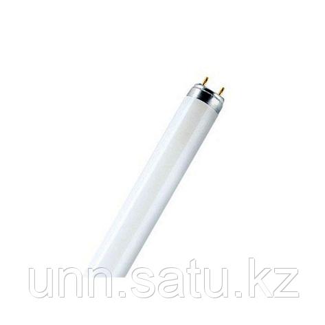 Лампа люминисцентная NL-T8 36W/765 25*1 NCE RDIUM OSRAM, фото 2