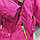 Комбинезон "Reima" от 1 до 6 лет для девочек, розовый., фото 4