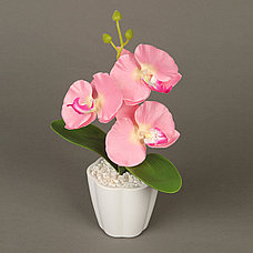 Декоративная композиция-вазон Орхидеи - Оплата Kaspi Pay, фото 3