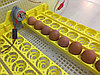Инкубатор бытовой  на 96 яиц, фото 6
