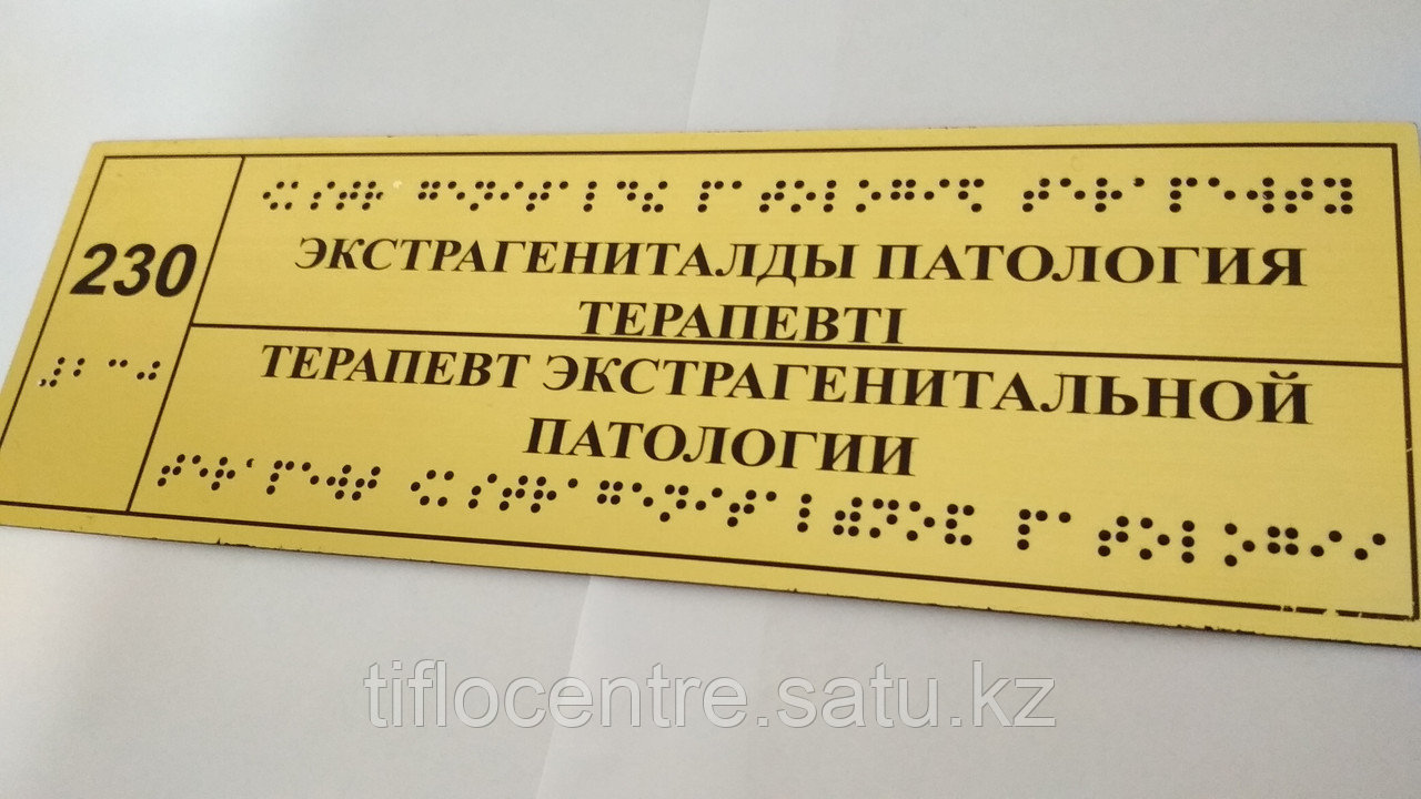 Тактильные таблички, пиктограммы, мнемосхемы с шрифтом брайля - фото 1 - id-p68801343