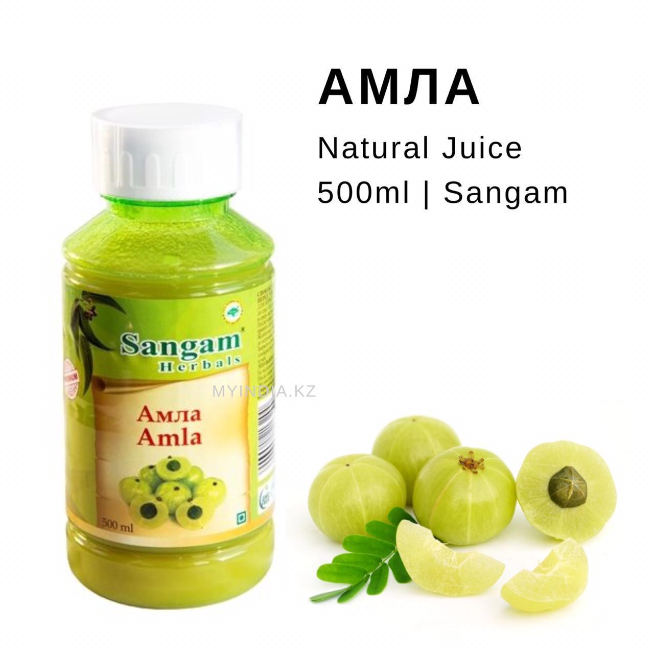 Натуральный сок Амлы, 500 мл, Сангам, Amla - фото 2 - id-p68816072