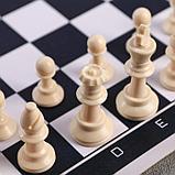 Шахматы в тубусе «Борьба умов», р-р поля 33 × 33 см, фото 2