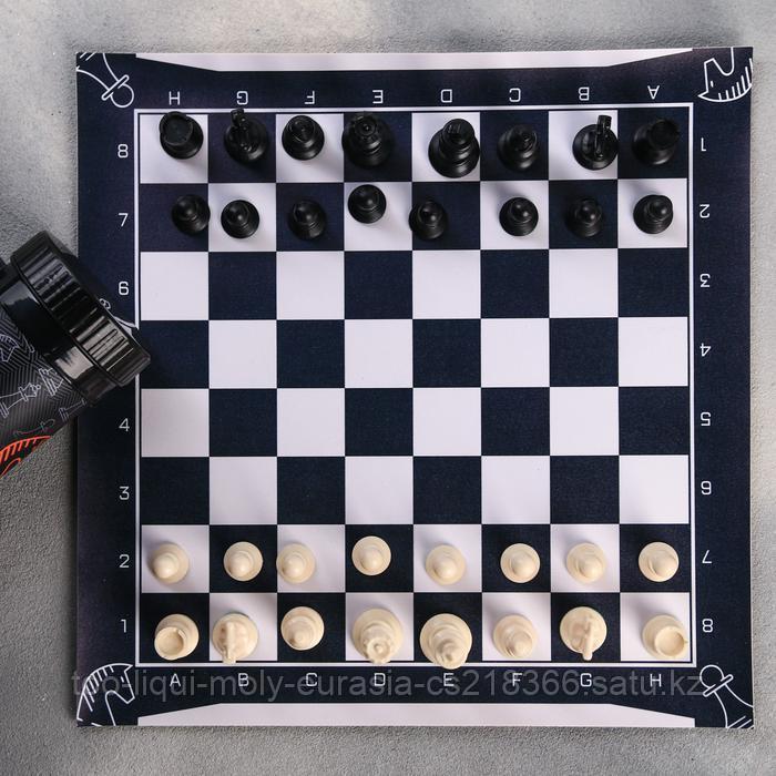 Шахматы в тубусе «Борьба умов», р-р поля 33 × 33 см - фото 5 - id-p68902532