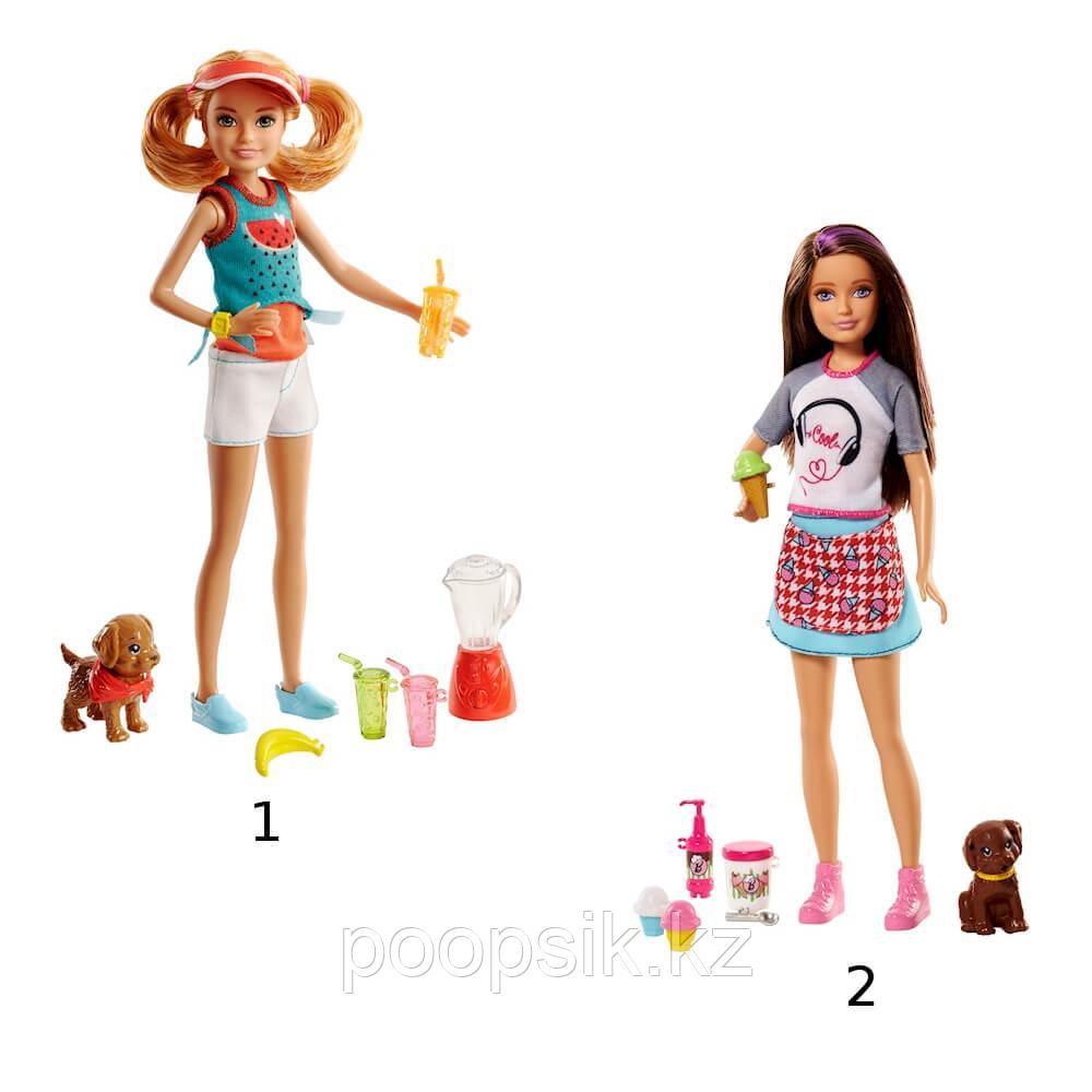 Набор Barbie Сестры и щенки FHP62 в ассортименте
