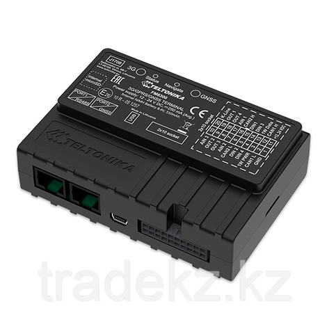 CAN-преобразователь сигналов бортового компьютера автомобиля Teltonika SIMPLE-CAN, фото 2