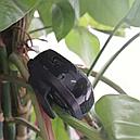 Мини камера, фото 8