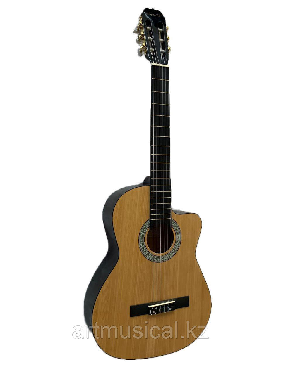 Классическая гитара Agnetha APG-E120