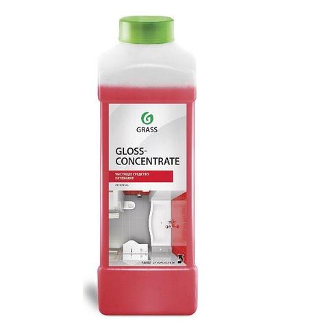 Концентрированное чистящее средство Gloss Concentrate, фото 2