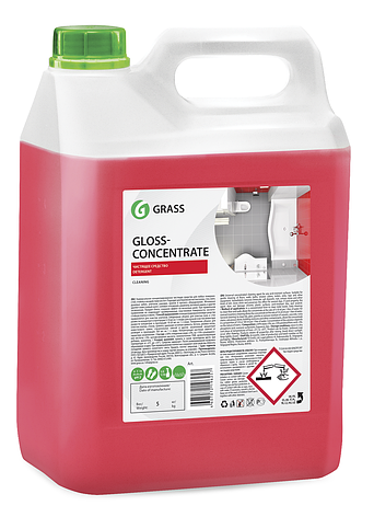 Концентрированное чистящее средство Gloss Concentrate, фото 2