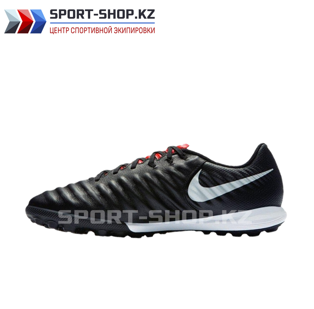 СОРОКОНОЖКИ Nike Tiempo LegendX
