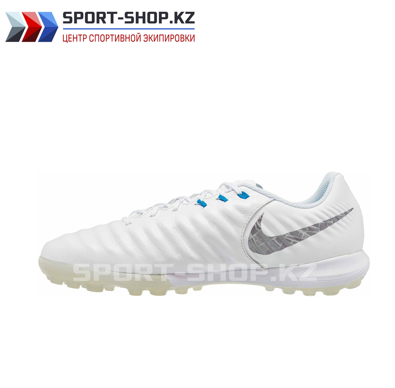 СОРОКОНОЖКИ Nike Tiempo LegendX