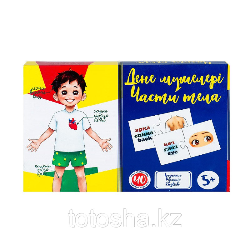 Игра " Части тела - Дене мүшелері " 5+