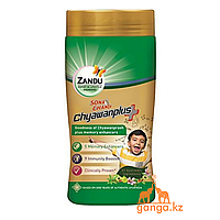 Чаванпраш (Chyawanprash ZANDU) 0,9 кг. Эликсир молодости