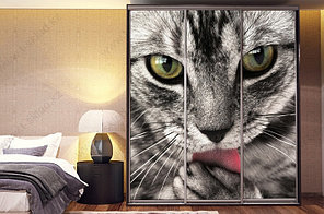 Корпусный шкаф-купе КШ-25