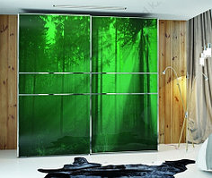 Шкаф-купе DALI ШD-16