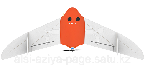 БПЛА Геоскан 201 Агро