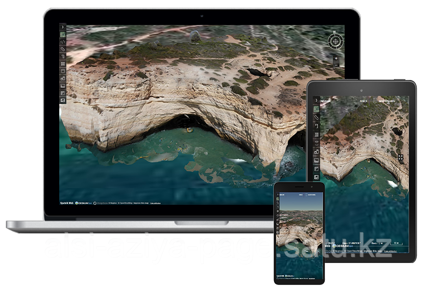 ПО Спутник Web