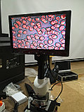 Биологический микроскоп 2500х увеличение тринокулярный мощный, фото 3