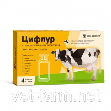Цифлур