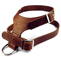 Шлейки для собак и кошек