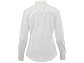 Женская рубашка с длинными рукавами Hamell, белый, фото 4