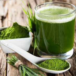Препарат Detox Wheatgrass для очищения организма от токсинов, фото 2