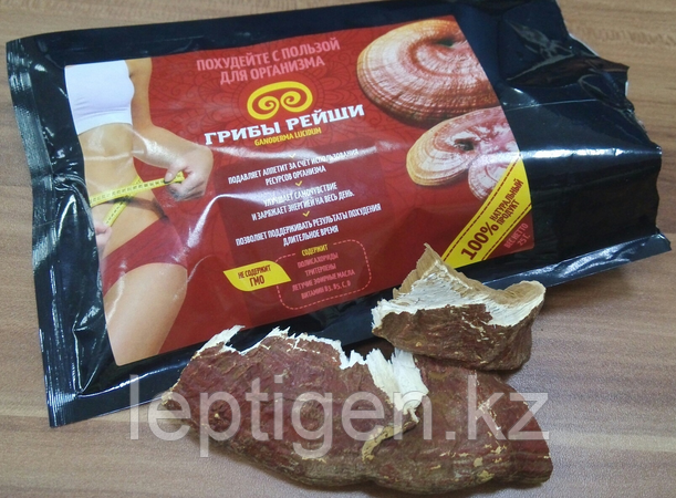 Гриб Рейши для похудения (Ганодерма)
