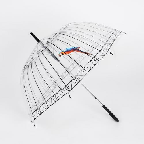 Прозрачный купольный зонт - фото 2 - id-p69388811