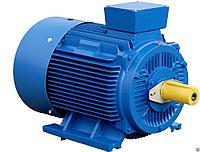 Электродвигатель взрывозащищенный ВЗГ 2,2 квт 1500 об/мин