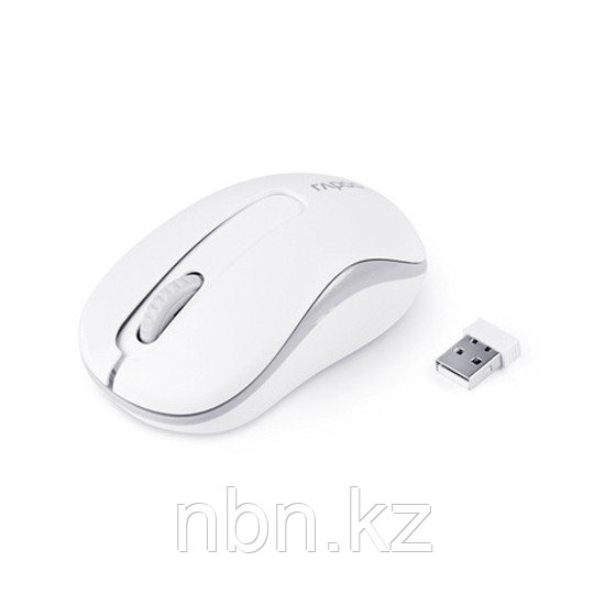 Компьютерная мышь Rapoo M10 Белый